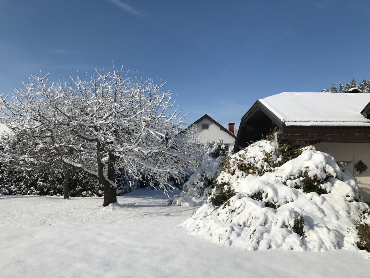 V Gemuetliches Gartenhaus Smihel nad Pliberkom 外观 照片