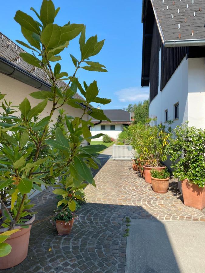 V Gemuetliches Gartenhaus Smihel nad Pliberkom 外观 照片